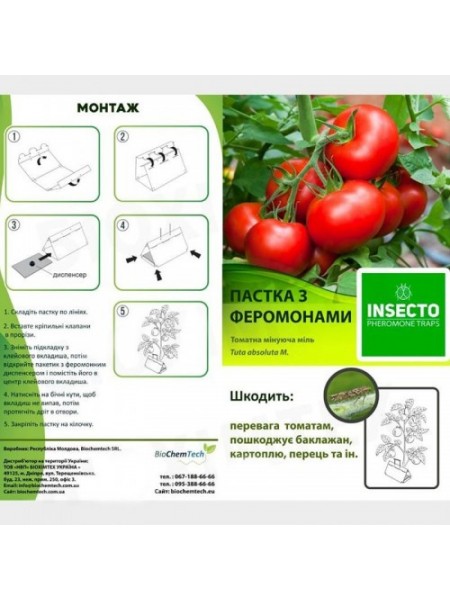 Томатная проходящая моль феромонная ловушка (БИОхимтех)