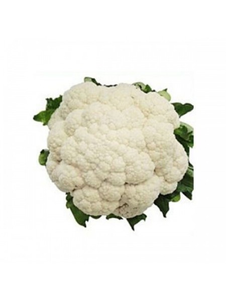 Ванза F1 (KS 35 F1) семена капусты цветной (Kitano Seeds)