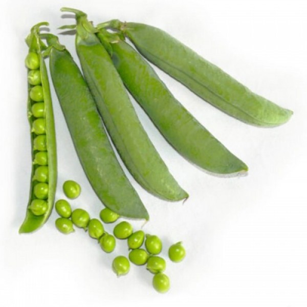 Вондер семена гороха (Lark Seeds)