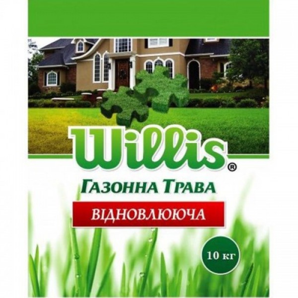 Восстановительная Willis семена газонной травы (Feldsaaten Freudenberger GmbH)