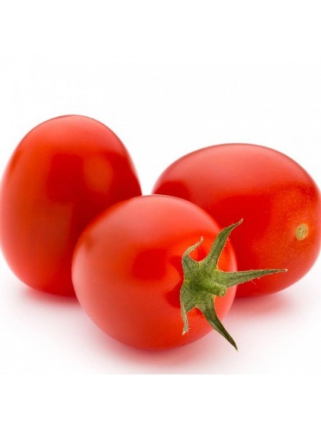 ЮГ 4111 F1 семена томата дет. слив. красный (United Genetics)