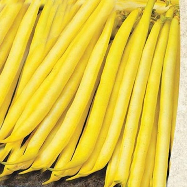 Золота зірка насіння квасолі (Satimex).