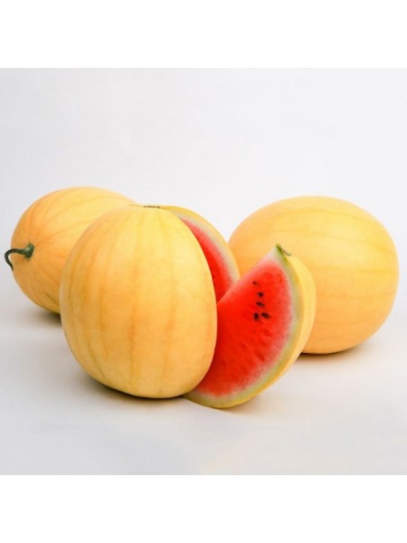 Золотой Огонек F1 (LS 1820 F1) семена арбуза раннего (Lucky Seed)