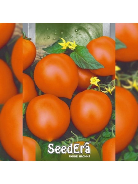 Золото Іліни насіння помідора індетермінантного (Seedera)